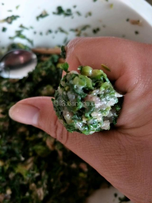 将手洗干净，在手机抓一把荠菜馅子，在虎口处挤出荠菜丸子，用勺子放入锅中。依次放入所有丸子。