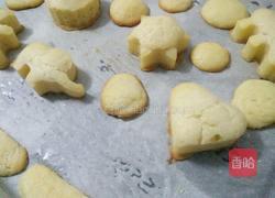蛋挞的做法图解13