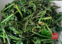 酱油炒苦刺尖的做法图解5