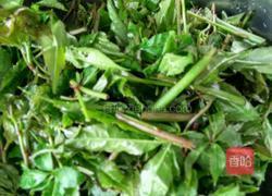 酱油炒苦刺尖的做法图解1