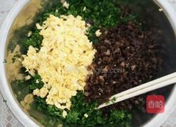 菠菜木耳鸡蛋水饺的做法图解4