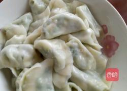 韭菜鸡蛋素馅饺的做法图解12