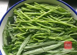茄汁空心菜的做法图解2