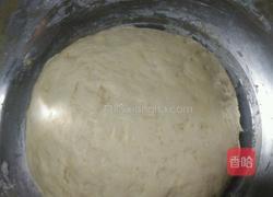 迷你版毛毛虫豆沙包的做法图解3