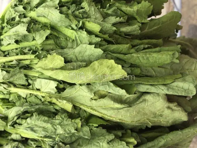 这是晒的差不多的菜，没有完全晒干，晒蔫，菜杆蔫了，菜叶有点干即可，没有晒到位的话，腌出来的菜口感会酸