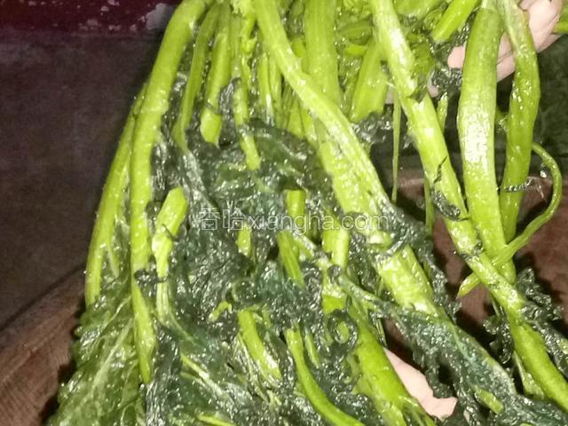 用盐撒菜上，把菜像衣服搁搓衣板上搓一样用力搓，将菜搓柔软，搓出水分