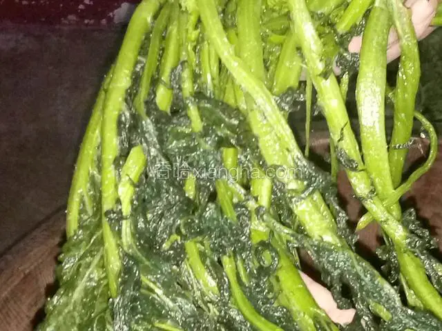 用盐撒菜上，把菜像衣服搁搓衣板上搓一样用力搓，将菜搓柔软，搓出水分