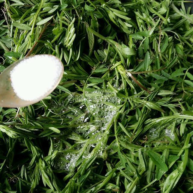 鸡蛋清打散以后倒入控干水的野豌豆苗中，加上适量盐，拌匀
