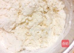 香菇鸡蛋包子的做法图解4