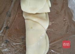 玫瑰花饺子～的做法图解4