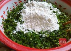 荠菜团子的做法图解3