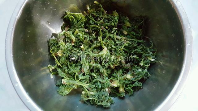 轻微攥下水份，颗数大的白蒿可以用手撕或刀切成小部分。