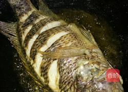 青蒜炒鱼的做法图解4