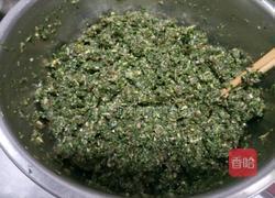 荠菜包子的做法图解4
