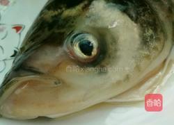 红烧鱼头的做法图解1