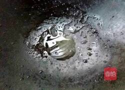 豆角鸡蛋炒饭的做法图解4