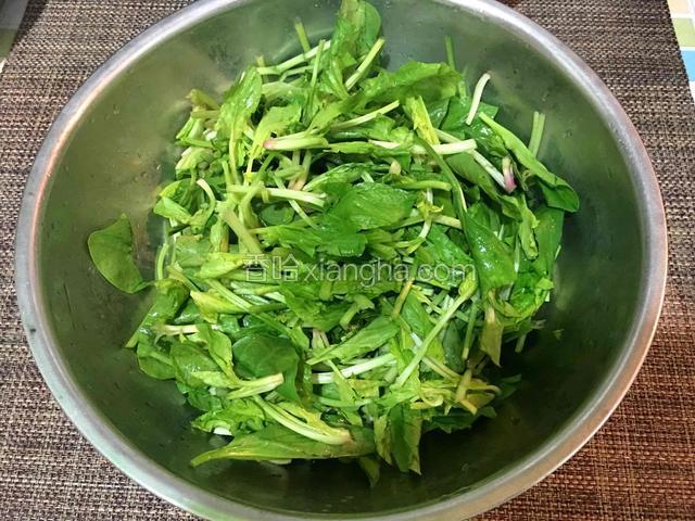 菠菜去根洗净，切成段