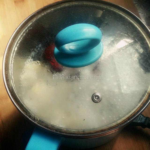 大火烧开，转小火炖一个小时，记得盖上锅盖，为了防止汤溢出，可留一条细缝