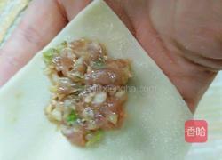 青葱鲜肉小馄饨的做法图解10