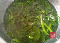 凉拌穿心莲的做法图解4