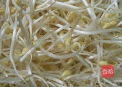 凉拌黄豆芽的做法图解1