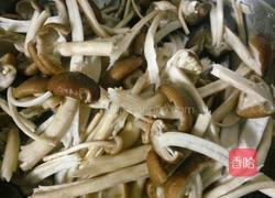 鲜茶树菇炒肉的做法图解2
