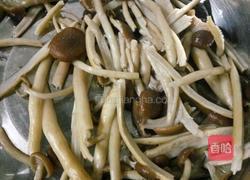 鲜茶树菇炒肉的做法图解5