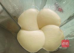 莲蓉馅的做法图解5