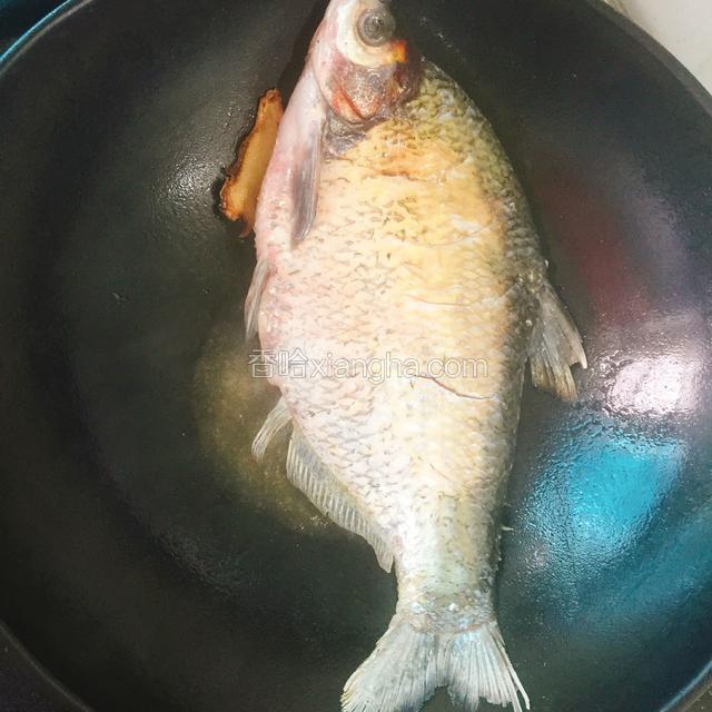 热锅凉油，开始煎鱼（可以放两片姜片去腥入味）