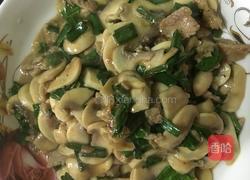 家常肉片炒蘑菇的做法图解4