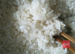 水晶烧麦的做法图解1