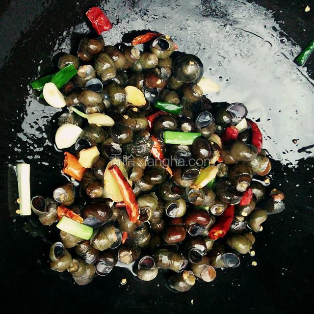 倒入田螺，翻炒均匀