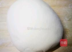 「Cathy边吃边营养」豆角焖手擀面的做法图解7