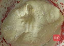 猪肉萝卜馅包子的做法图解1