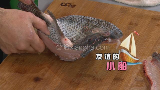 将处理好的鱼翻过来，鱼肉朝外鱼皮朝内，下油锅炸，油温要再五分热，炸至定型后捞出