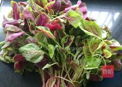 蒜末苋菜的做法图解1