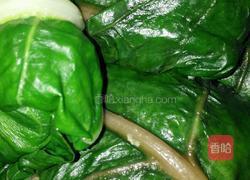 君达菜包的做法图解7