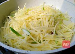 蚝油土豆丝的做法图解5