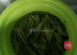 菠菜炒鸡蛋的做法图解1