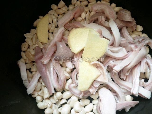 花生米，猪肚丝姜片一起放煲入锅