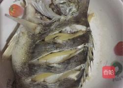 清蒸桂鱼的做法图解2