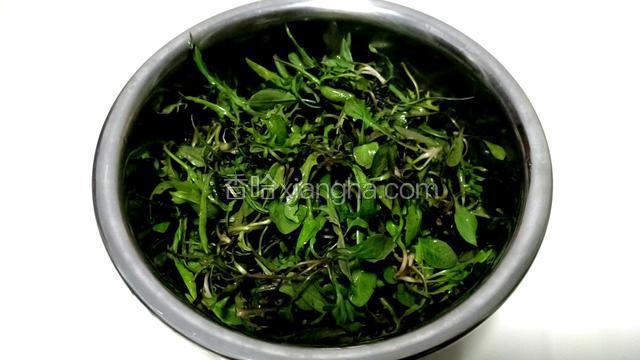 将苦麻菜择洗干净，控干水份。