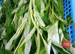 通心菜的做法图解1