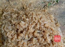 猪肉韭菜包子的做法图解4