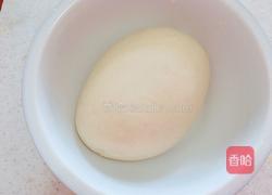 香菇荠菜饺子的做法图解4