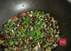 爆炒田螺的做法图解5