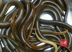 爆鳝鱼乔的做法图解1