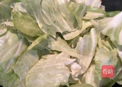 手撕包菜的做法图解5