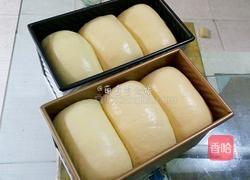 奶油蜜豆土司的做法图解13