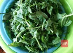 豌豆苗炒百叶丝的做法图解1